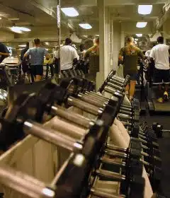 Faire du sport en salle pour des conseils de professionnel