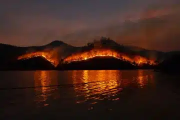 reflection of light on body of water at night