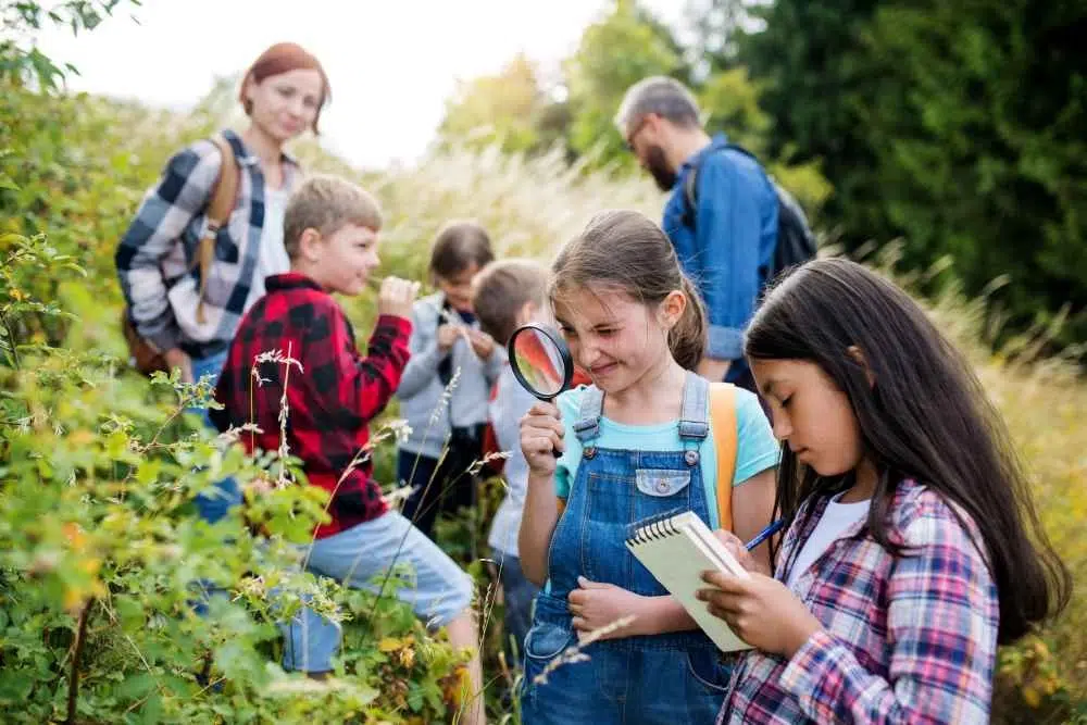 sont les différentes formations proposées par l’école d’environnement